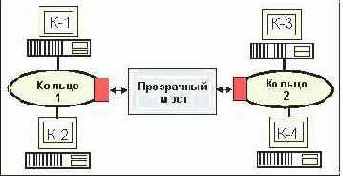 IEEE (Token Ring)