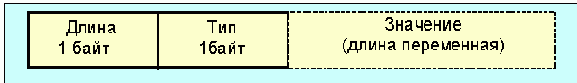 IEEE (Token Ring)