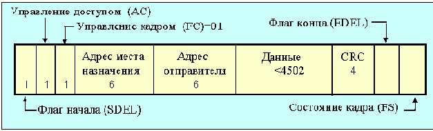 IEEE (Token Ring)