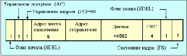 IEEE (Token Ring)