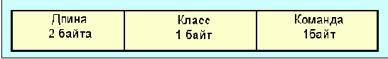 IEEE (Token Ring)