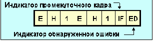 IEEE (Token Ring)