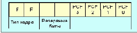 IEEE (Token Ring)