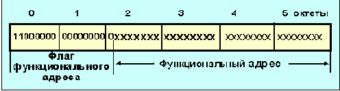 IEEE (Token Ring)