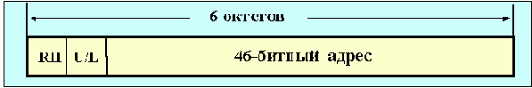 IEEE (Token Ring)