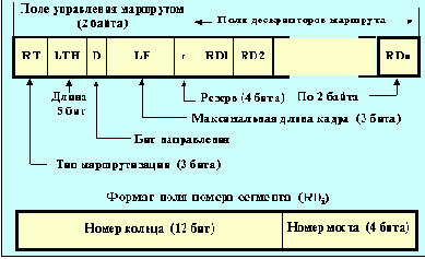 IEEE (Token Ring)