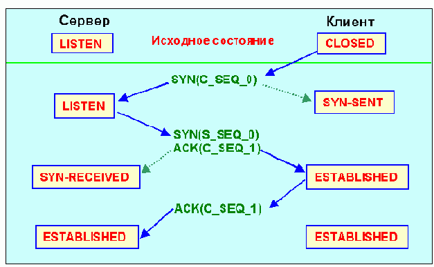  TCP