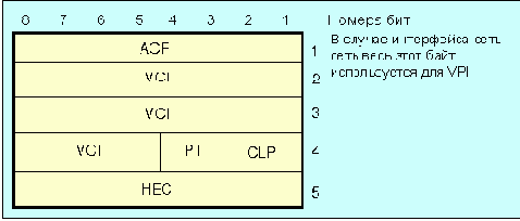  DQDB (    )