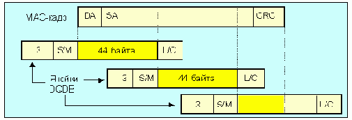  DQDB (    )