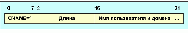     RTCP