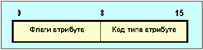   BGP