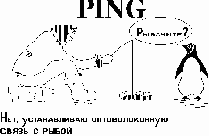 Ping  Traceroute