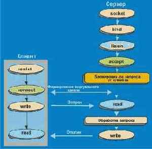 Winsock ( UNIX, Windows-  -NT)