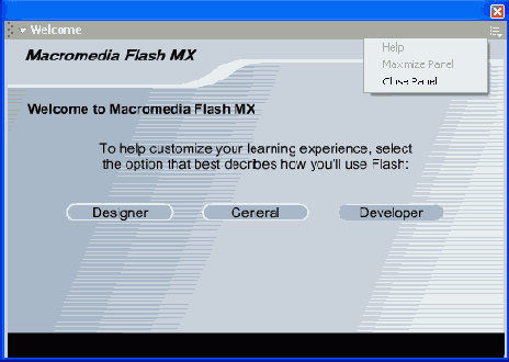 Flash анимация