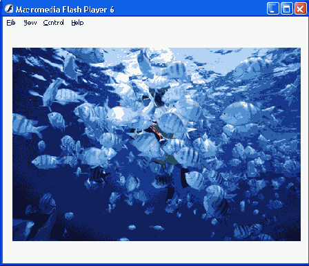    Flash MX

