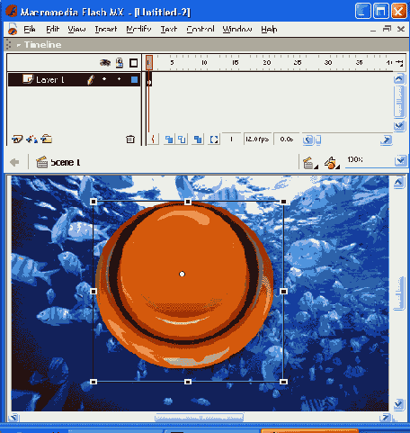    Flash MX
