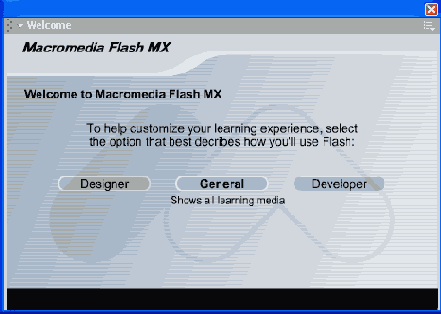    Flash MX
