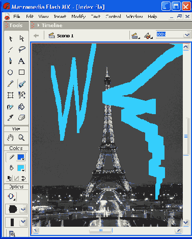    Flash MX
