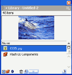   Flash MX