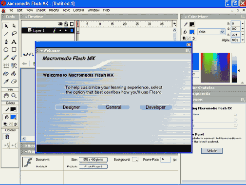   Flash MX