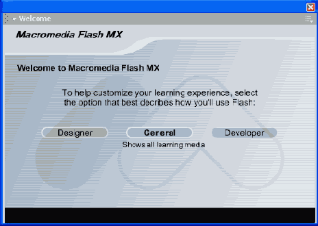   Flash MX